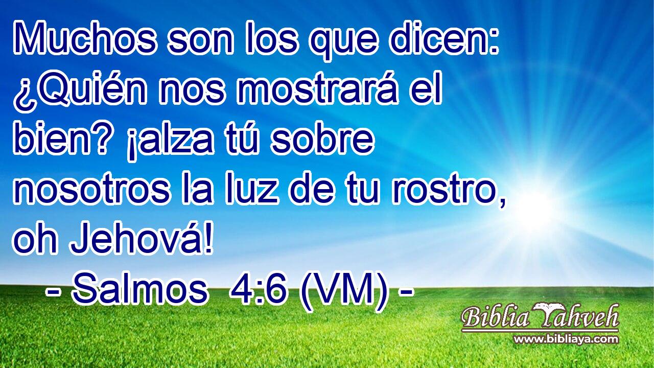  Muchos son los que dicen: ¿Quién nos mostrará el bien? ¡alza tú sobre nosotros la luz de tu rostro, oh Jehová! 