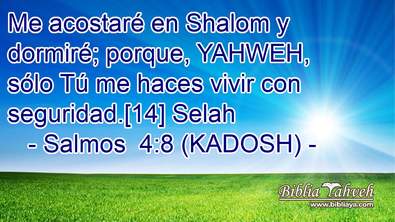  Me acostaré en Shalom y dormiré; porque, YAHWEH, sólo Tú me haces vivir con seguridad.[14] Selah 
