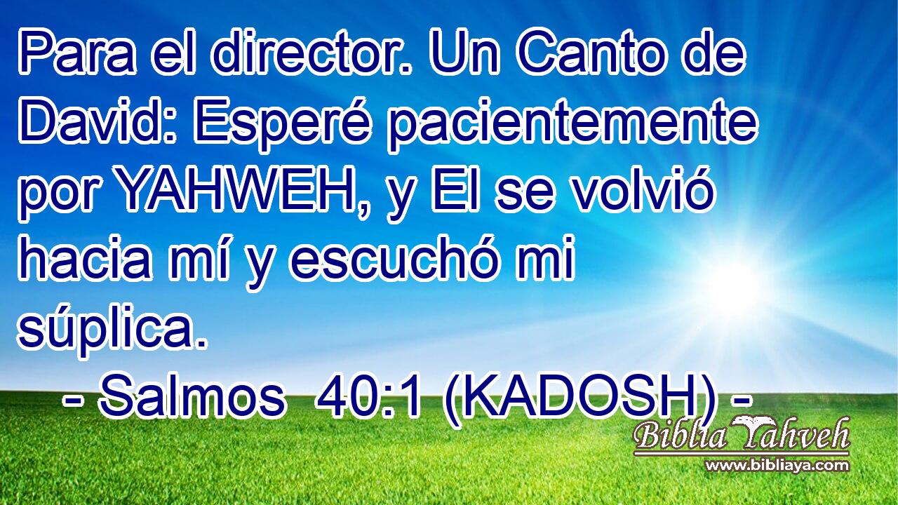  Para el director. Un Canto de David: Esperé pacientemente por YAHWEH, y El se volvió hacia mí y escuchó mi súplica. 