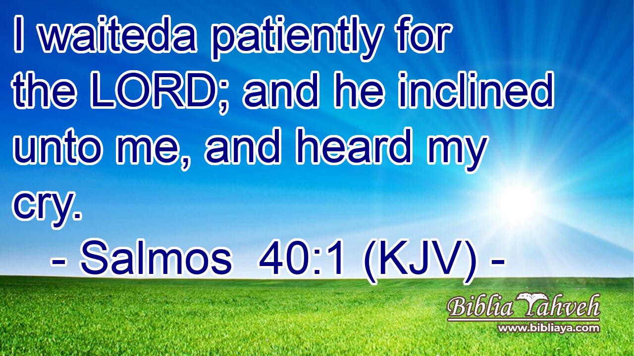 I waiteda patiently for the LORD; and he inclined unto me, and heard my cry.