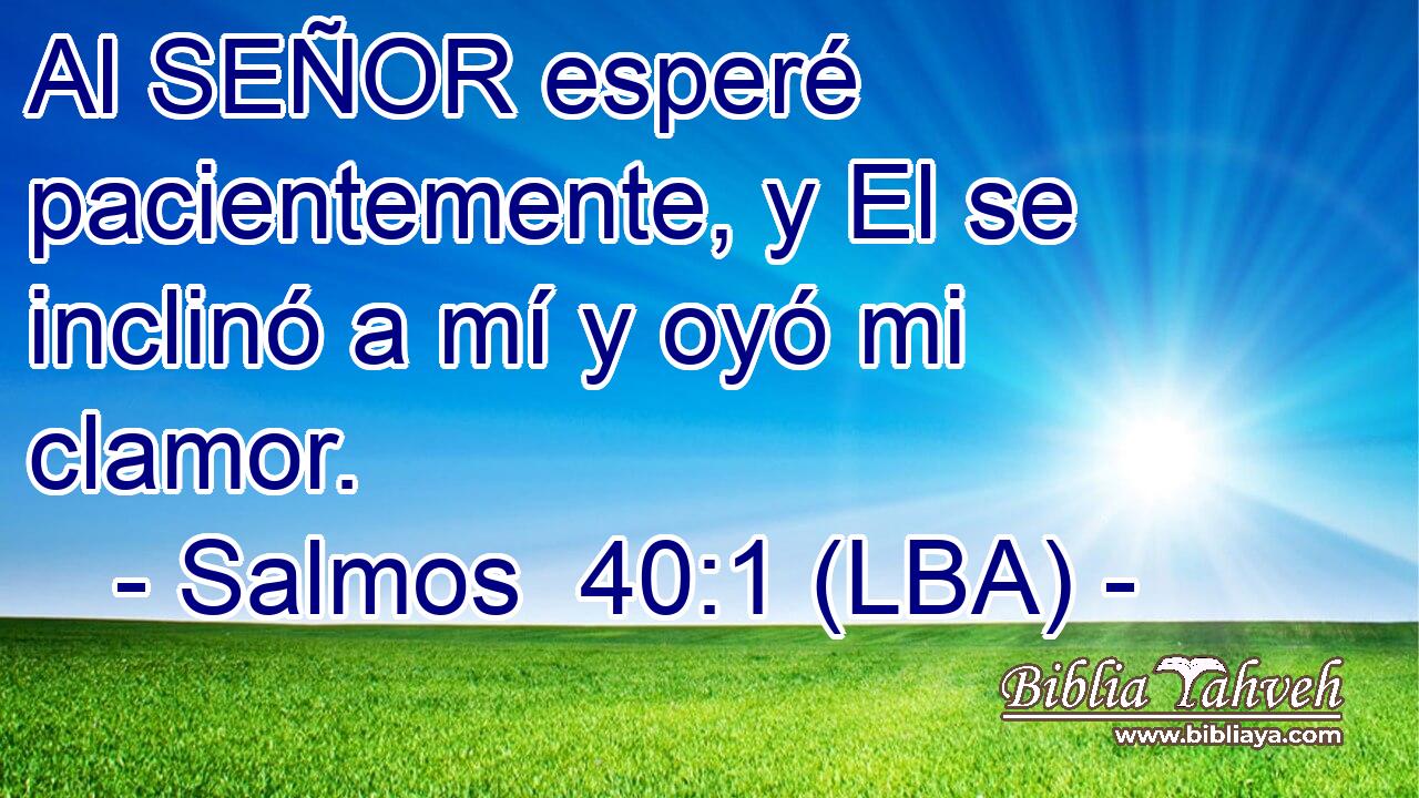 Al SEÑOR esperé pacientemente, y El se inclinó a mí y oyó mi clamor.