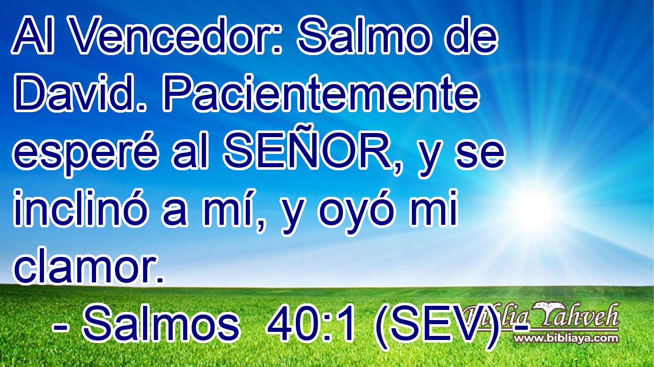 Al Vencedor: Salmo de David. Pacientemente esperé al SEÑOR, y se inclinó a mí, y oyó mi clamor.
