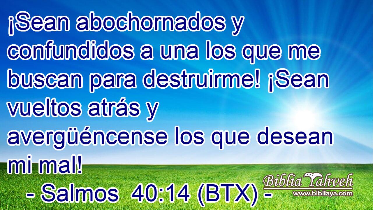 ¡Sean abochornados y confundidos a una los que me buscan para destruirme! ¡Sean vueltos atrás y avergüéncense los que desean mi mal!