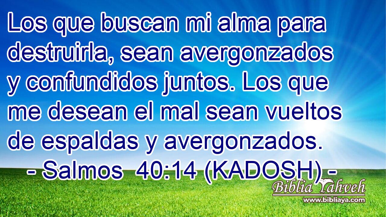  Los que buscan mi alma para destruirla, sean avergonzados y confundidos juntos. Los que me desean el mal sean vueltos de espaldas y avergonzados. 