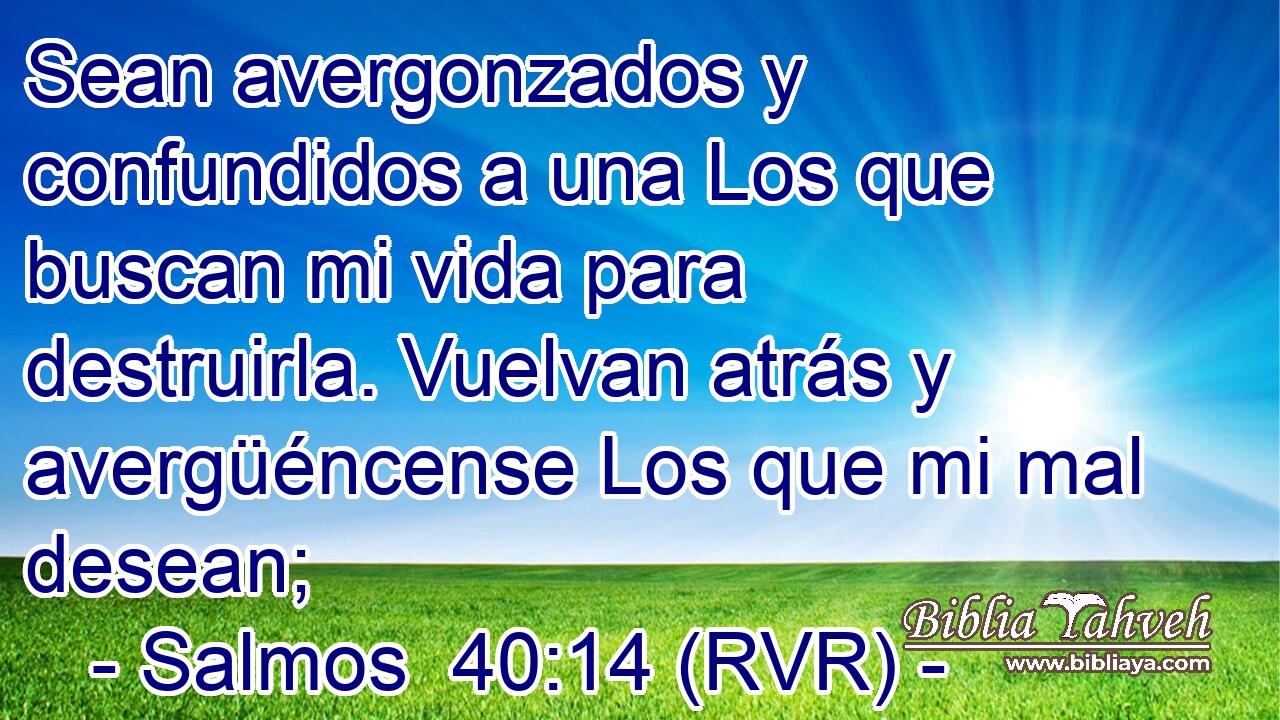 Sean avergonzados y confundidos a una Los que buscan mi vida para destruirla. Vuelvan atrás y avergüéncense Los que mi mal desean;