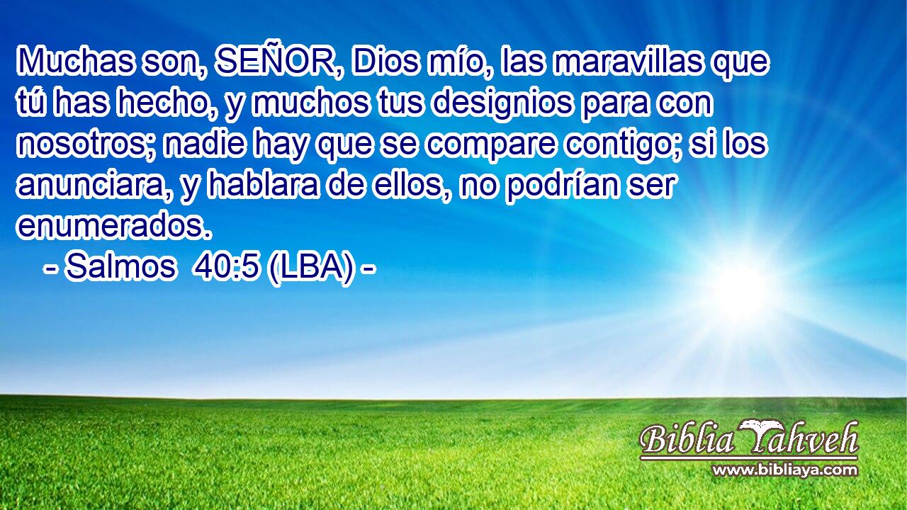 Muchas son, SEÑOR, Dios mío, las maravillas que tú has hecho, y muchos tus designios para con nosotros; nadie hay que se compare contigo; si los anunciara, y hablara de ellos, no podrían ser enumerados.