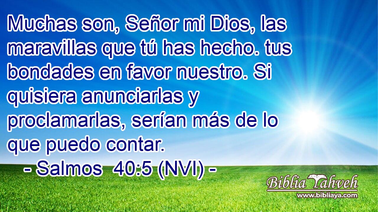  Muchas son, Señor mi Dios, las maravillas que tú has hecho. tus bondades en favor nuestro. Si quisiera anunciarlas y proclamarlas, serían más de lo que puedo contar. 
