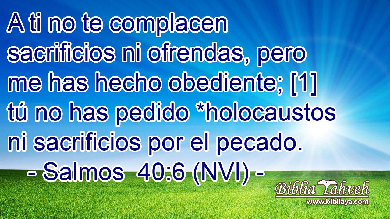  A ti no te complacen sacrificios ni ofrendas, pero me has hecho obediente; [1] tú no has pedido *holocaustos ni sacrificios por el pecado. 