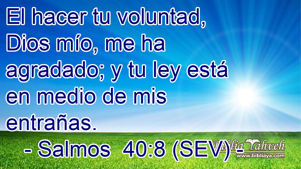 El hacer tu voluntad, Dios mío, me ha agradado; y tu ley está en medio de mis entrañas.