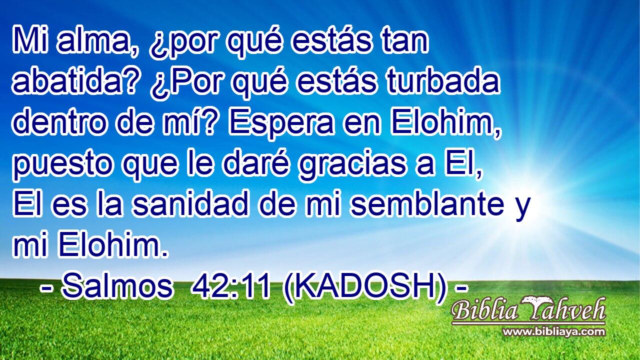  Mi alma, ¿por qué estás tan abatida? ¿Por qué estás turbada dentro de mí? Espera en Elohim, puesto que le daré gracias a El, El es la sanidad de mi semblante y mi Elohim. 