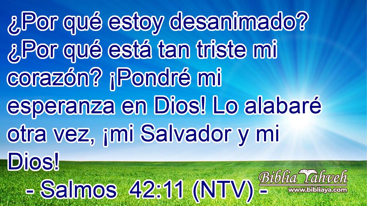 ¿Por qué estoy desanimado? ¿Por qué está tan triste mi corazón? ¡Pondré mi esperanza en Dios! Lo alabaré otra vez, ¡mi Salvador y mi Dios!