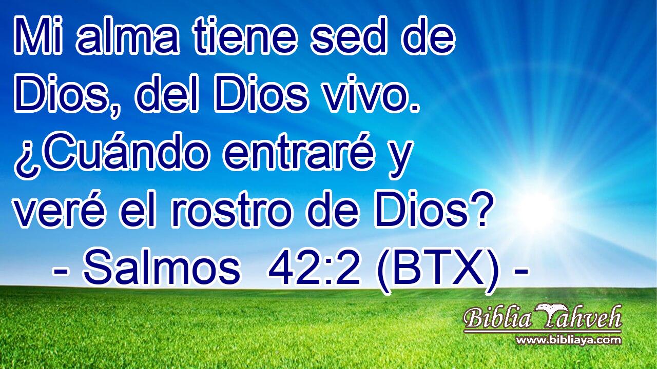 Mi alma tiene sed de Dios, del Dios vivo. ¿Cuándo entraré y veré el rostro de Dios?