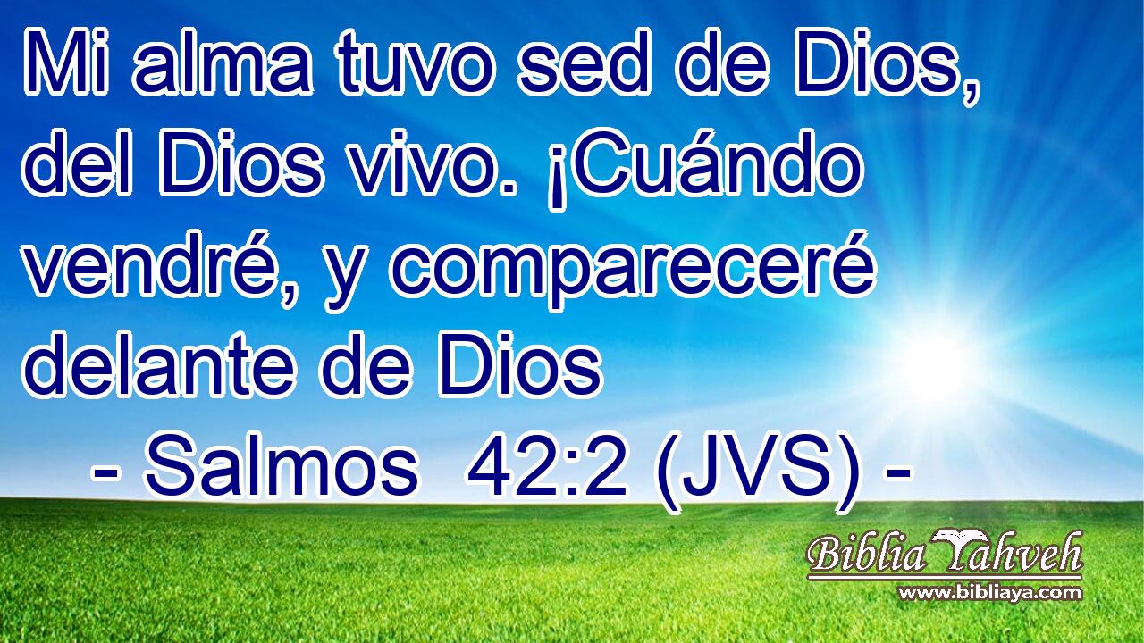 Mi alma tuvo sed de Dios, del Dios vivo. ¡Cuándo vendré, y compareceré delante de Dios