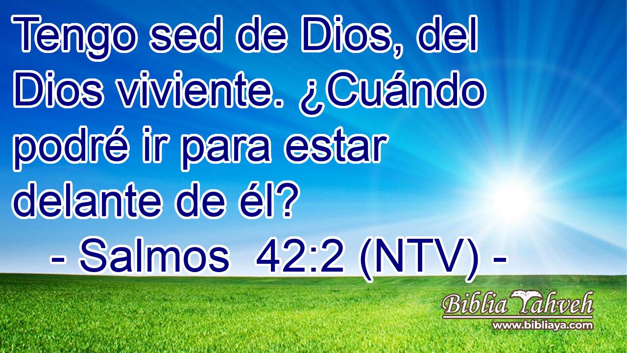 Tengo sed de Dios, del Dios viviente. ¿Cuándo podré ir para estar delante de él?