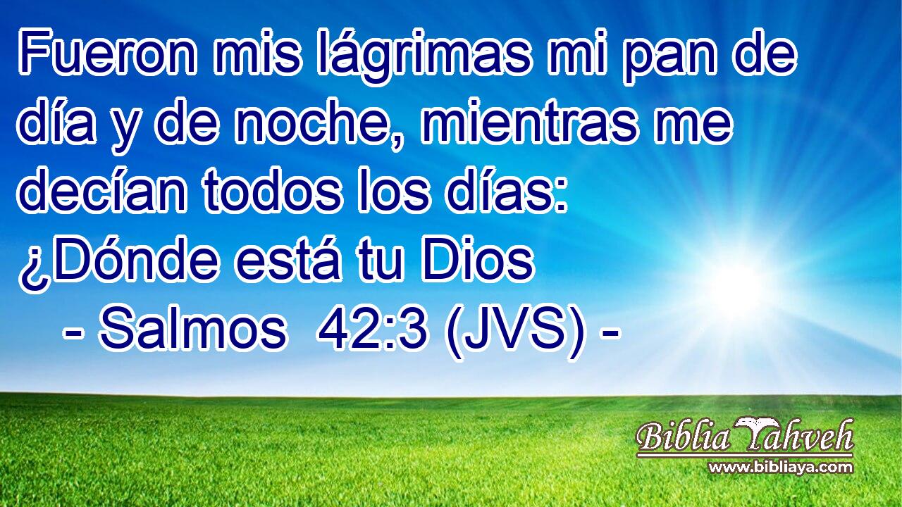 Fueron mis lágrimas mi pan de día y de noche, mientras me decían todos los días: ¿Dónde está tu Dios