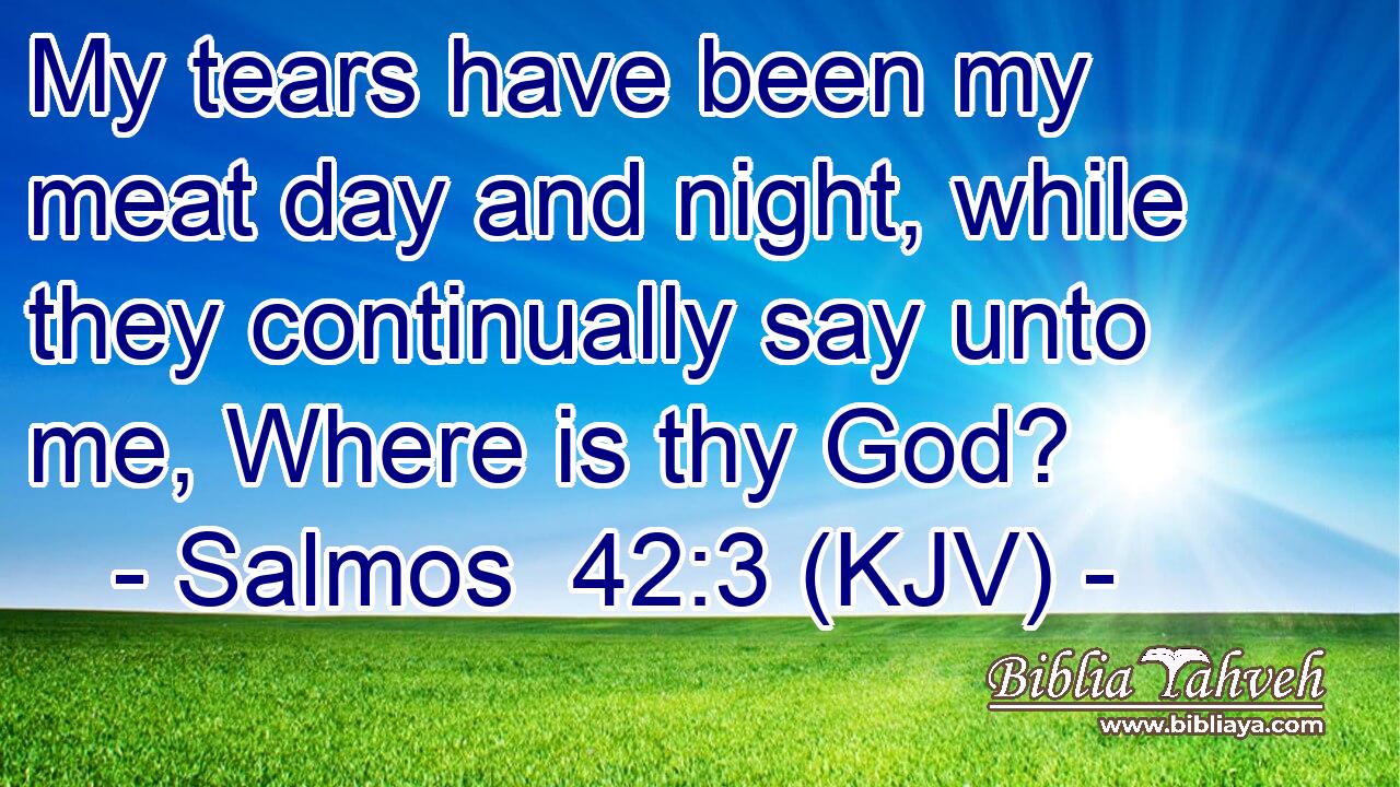 My tears have been my meat day and night, while they continually say unto me, Where is thy God?