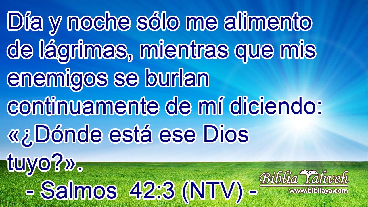 Día y noche sólo me alimento de lágrimas, mientras que mis enemigos se burlan continuamente de mí diciendo: «¿Dónde está ese Dios tuyo?».