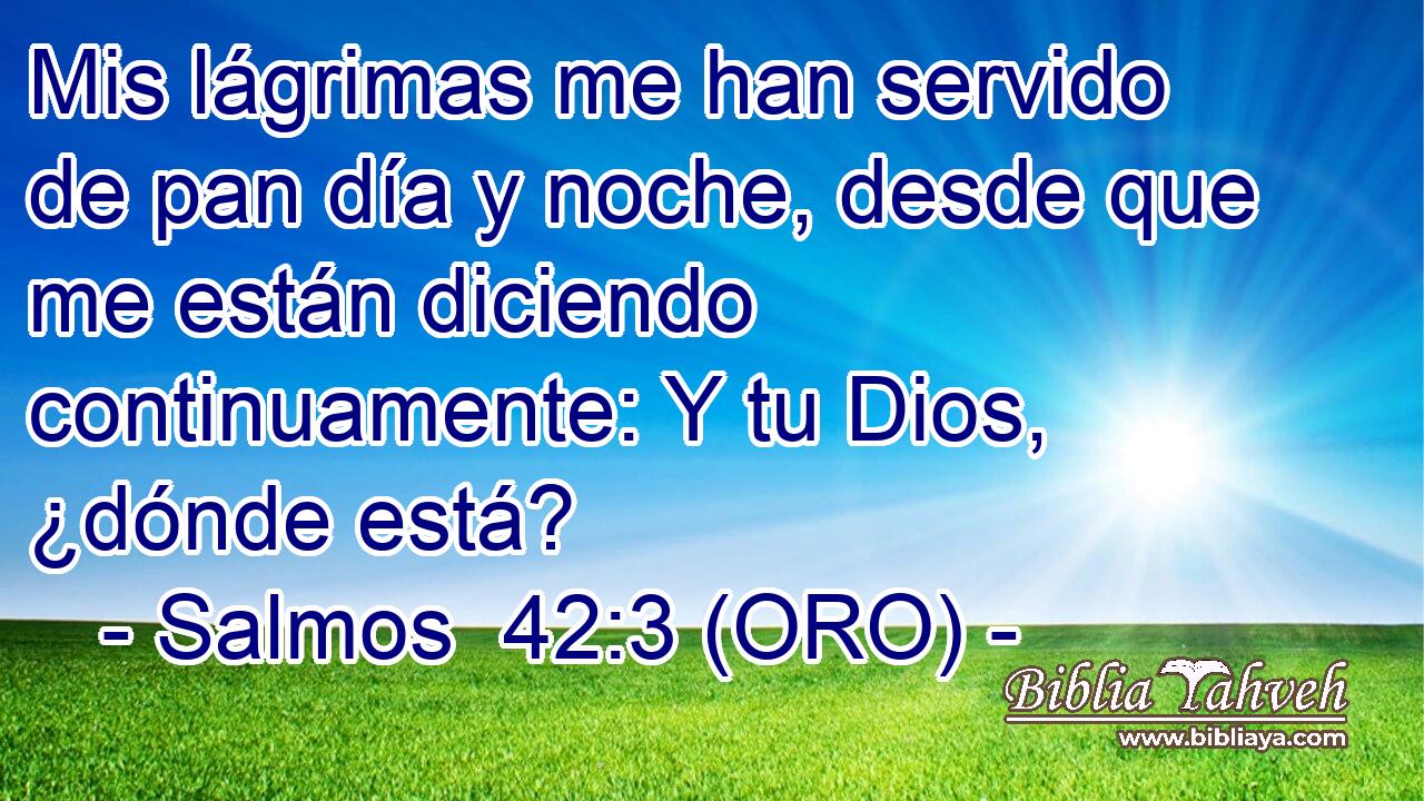 Mis lágrimas me han servido de pan día y noche, desde que me están diciendo continuamente: Y tu Dios, ¿dónde está? 
