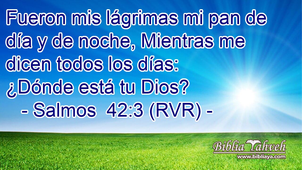 Fueron mis lágrimas mi pan de día y de noche, Mientras me dicen todos los días: ¿Dónde está tu Dios?
