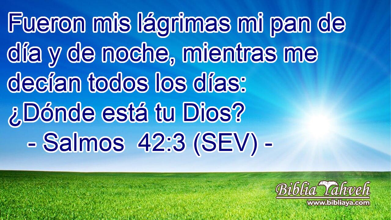 Fueron mis lágrimas mi pan de día y de noche, mientras me decían todos los días: ¿Dónde está tu Dios?