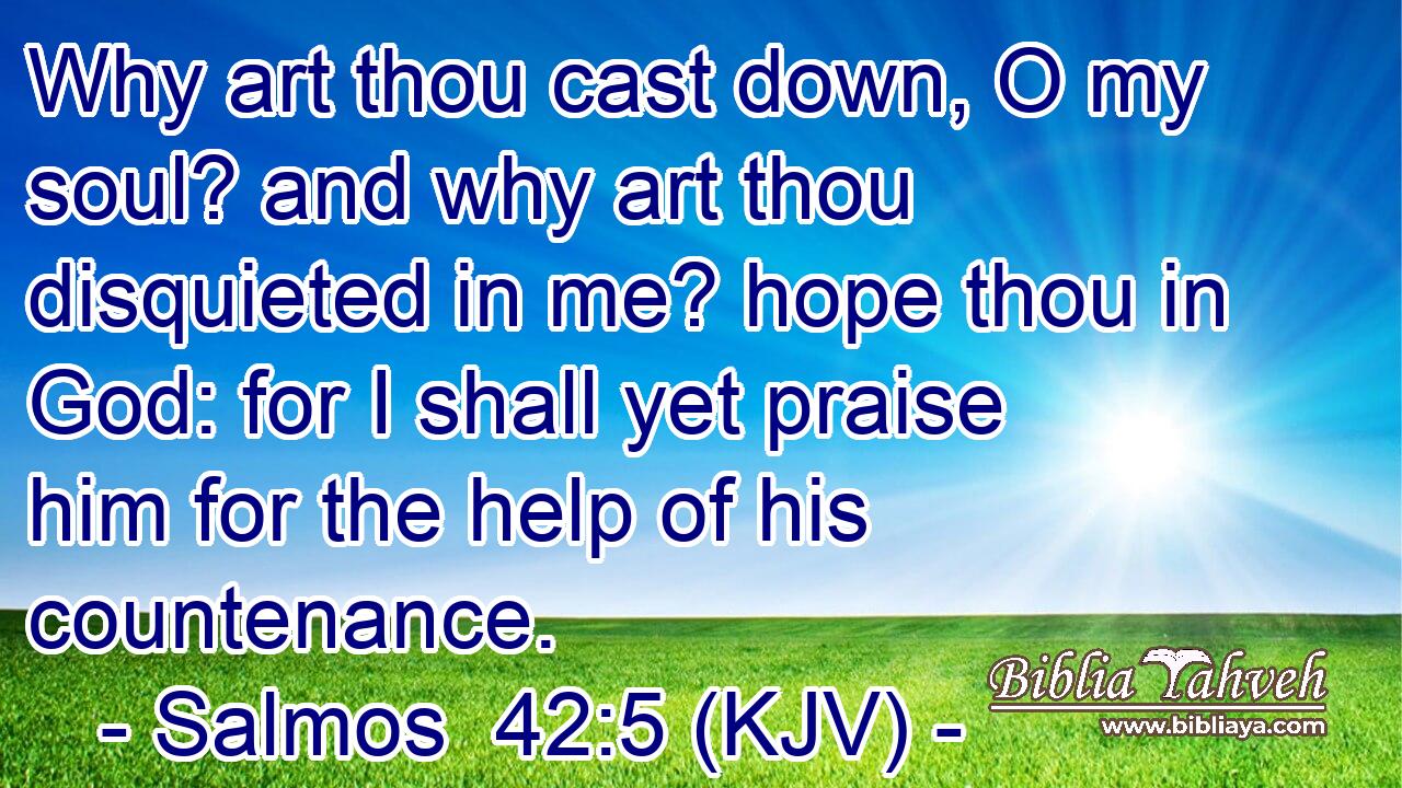 Why art thou cast down, O my soul? and why art thou disquieted in me? hope thou in God: for I shall yet praise him for the help of his countenance.