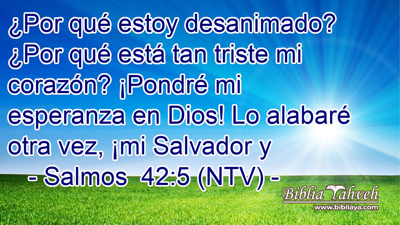 ¿Por qué estoy desanimado? ¿Por qué está tan triste mi corazón? ¡Pondré mi esperanza en Dios! Lo alabaré otra vez, ¡mi Salvador y