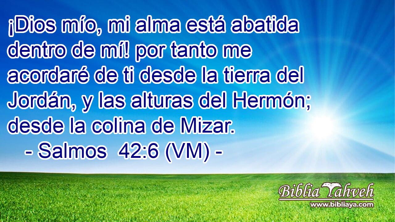  ¡Dios mío, mi alma está abatida dentro de mí! por tanto me acordaré de ti desde la tierra del Jordán, y las alturas del Hermón; desde la colina de Mizar. 