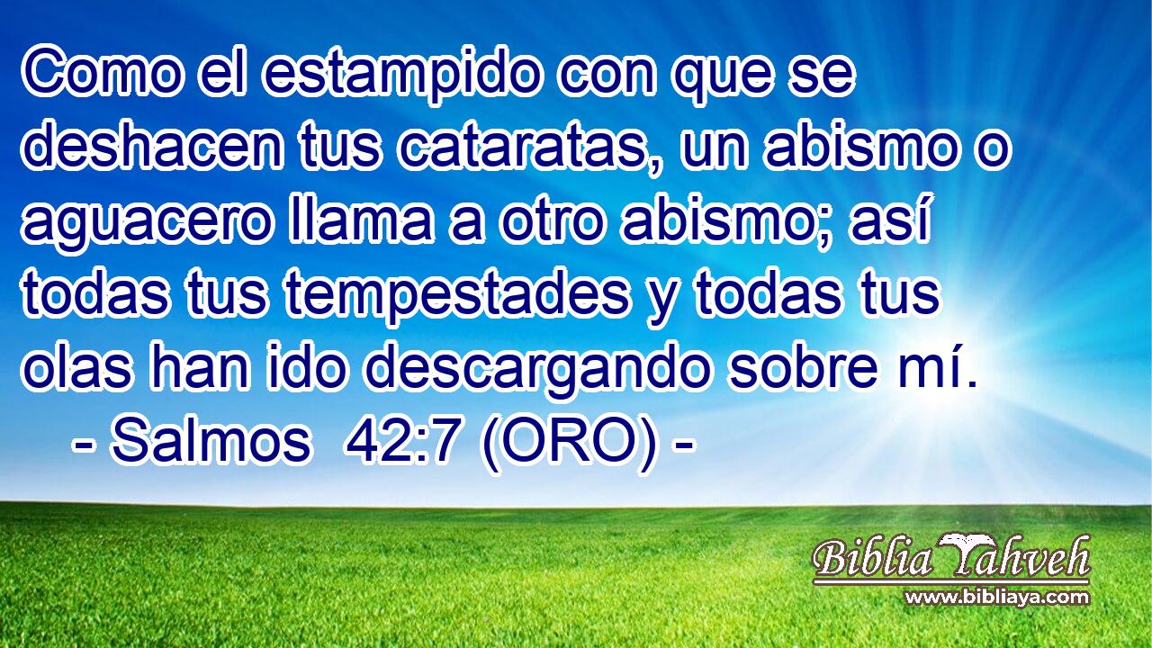  Como el estampido con que se deshacen tus cataratas, un abismo o aguacero llama a otro abismo; así todas tus tempestades y todas tus olas han ido descargando sobre mí. 