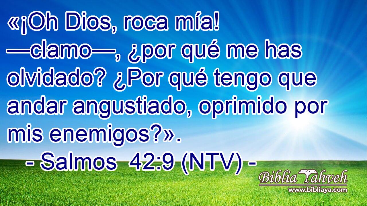 «¡Oh Dios, roca mía! —clamo—, ¿por qué me has olvidado? ¿Por qué tengo que andar angustiado, oprimido por mis enemigos?».