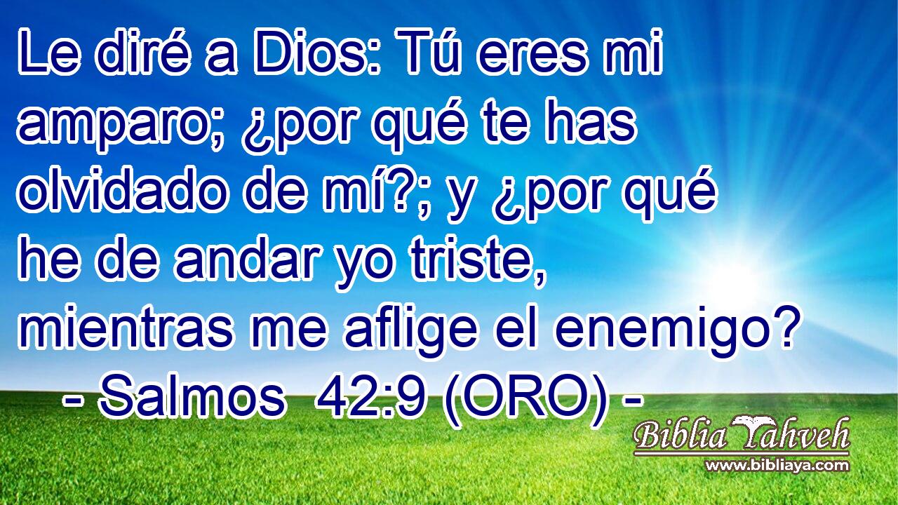  Le diré a Dios: Tú eres mi amparo; ¿por qué te has olvidado de mí?; y ¿por qué he de andar yo triste, mientras me aflige el enemigo? 