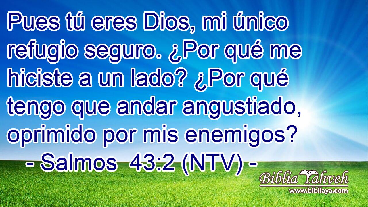 Pues tú eres Dios, mi único refugio seguro. ¿Por qué me hiciste a un lado? ¿Por qué tengo que andar angustiado, oprimido por mis enemigos?