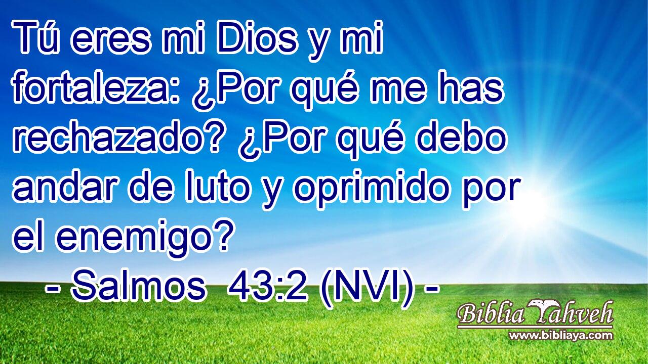  Tú eres mi Dios y mi fortaleza: ¿Por qué me has rechazado? ¿Por qué debo andar de luto y oprimido por el enemigo? 