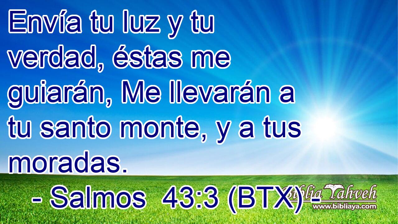 Envía tu luz y tu verdad, éstas me guiarán, Me llevarán a tu santo monte, y a tus moradas.