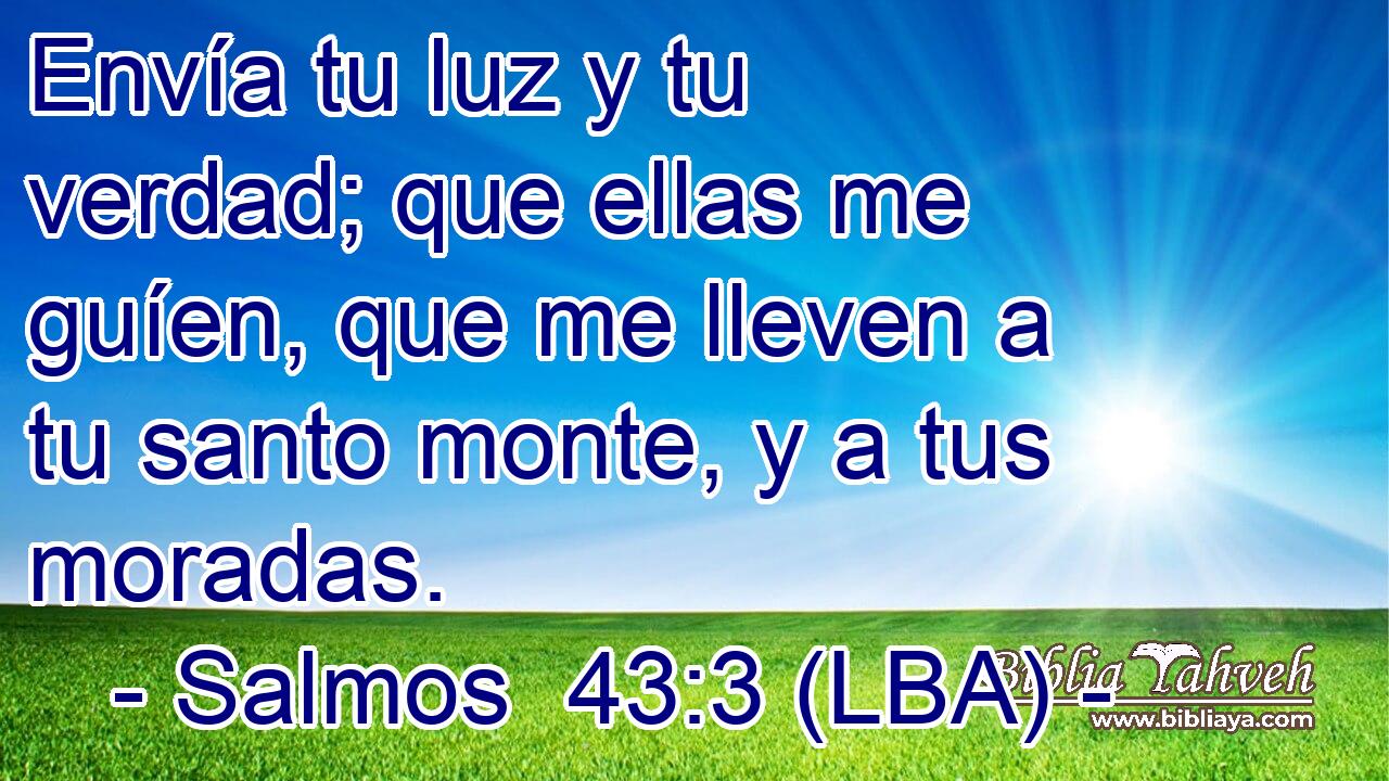 Envía tu luz y tu verdad; que ellas me guíen, que me lleven a tu santo monte, y a tus moradas.