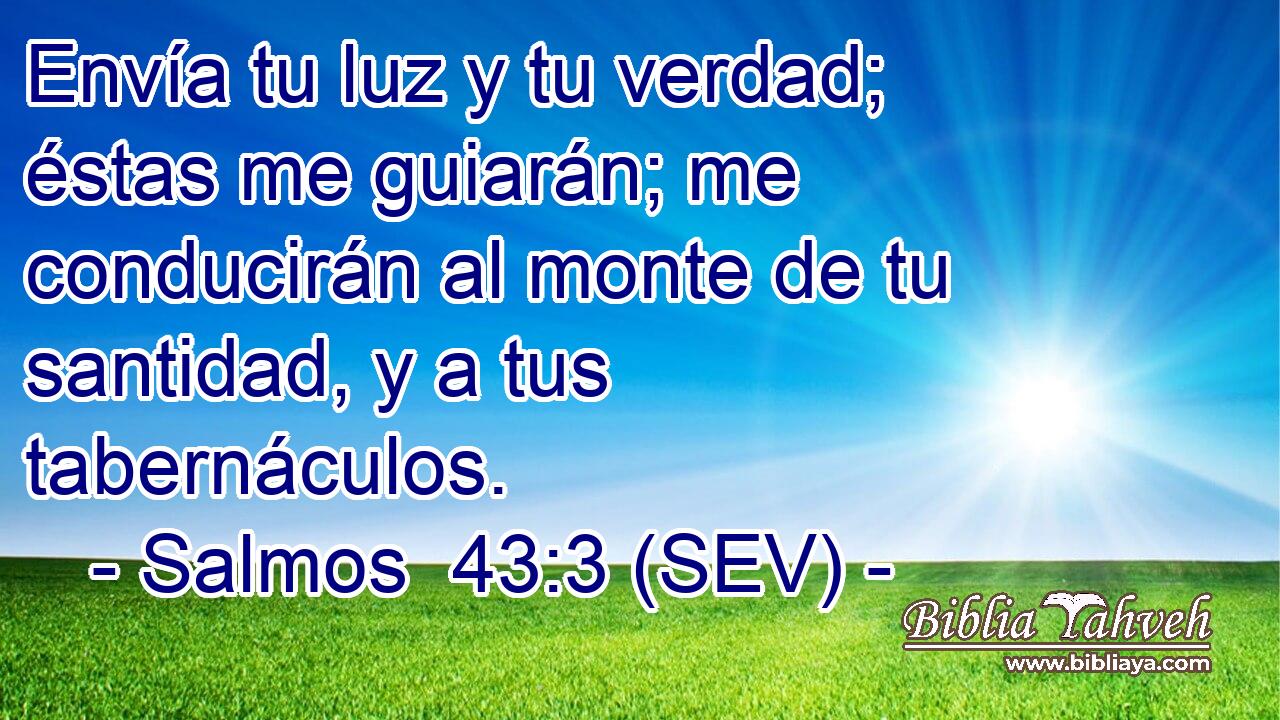 Envía tu luz y tu verdad; éstas me guiarán; me conducirán al monte de tu santidad, y a tus tabernáculos.