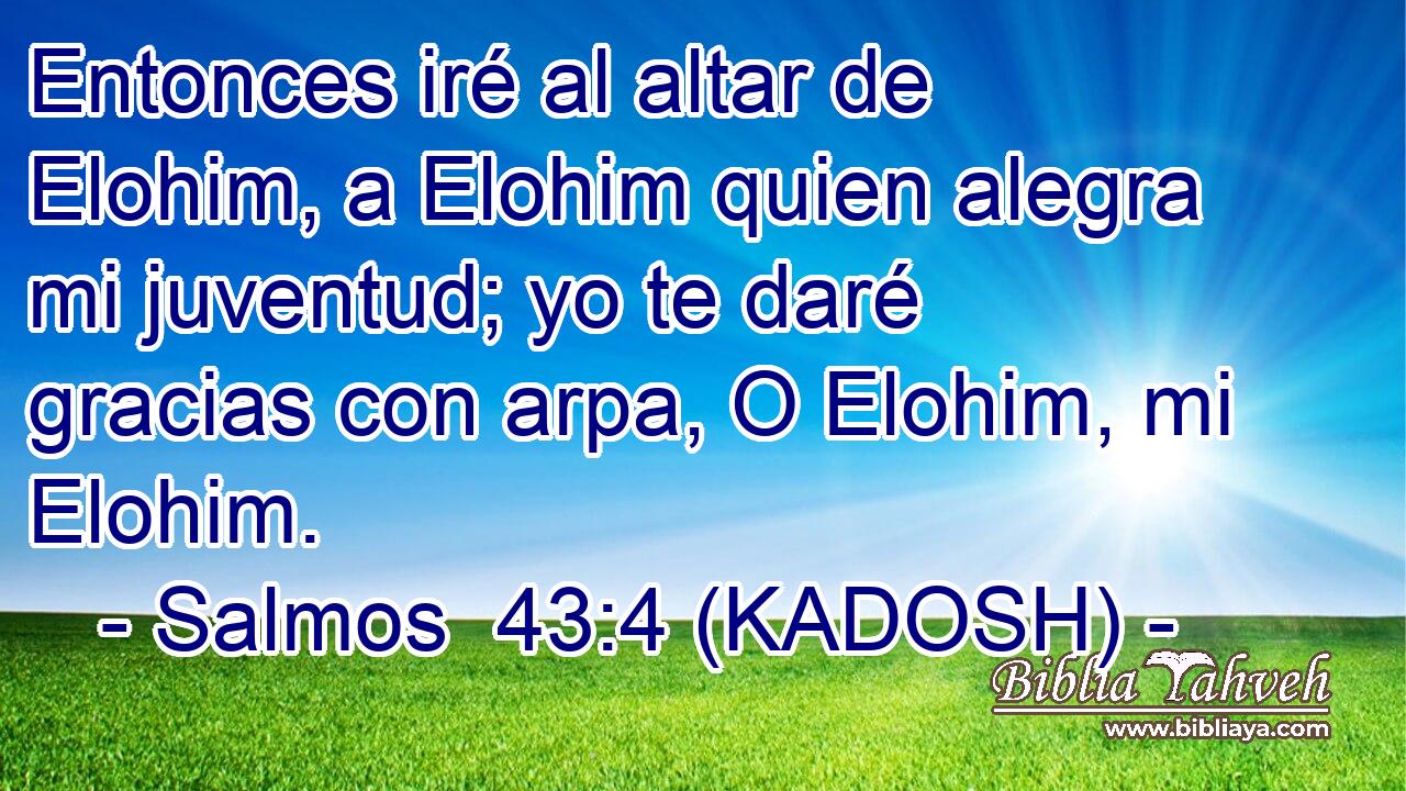  Entonces iré al altar de Elohim, a Elohim quien alegra mi juventud; yo te daré gracias con arpa, O Elohim, mi Elohim. 