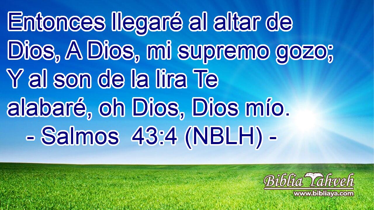  Entonces llegaré al altar de Dios, A Dios, mi supremo gozo; Y al son de la lira Te alabaré, oh Dios, Dios mío. 