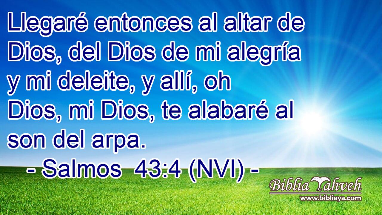  Llegaré entonces al altar de Dios, del Dios de mi alegría y mi deleite, y allí, oh Dios, mi Dios, te alabaré al son del arpa. 