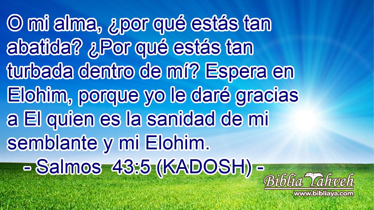  O mi alma, ¿por qué estás tan abatida? ¿Por qué estás tan turbada dentro de mí? Espera en Elohim, porque yo le daré gracias a El quien es la sanidad de mi semblante y mi Elohim. 