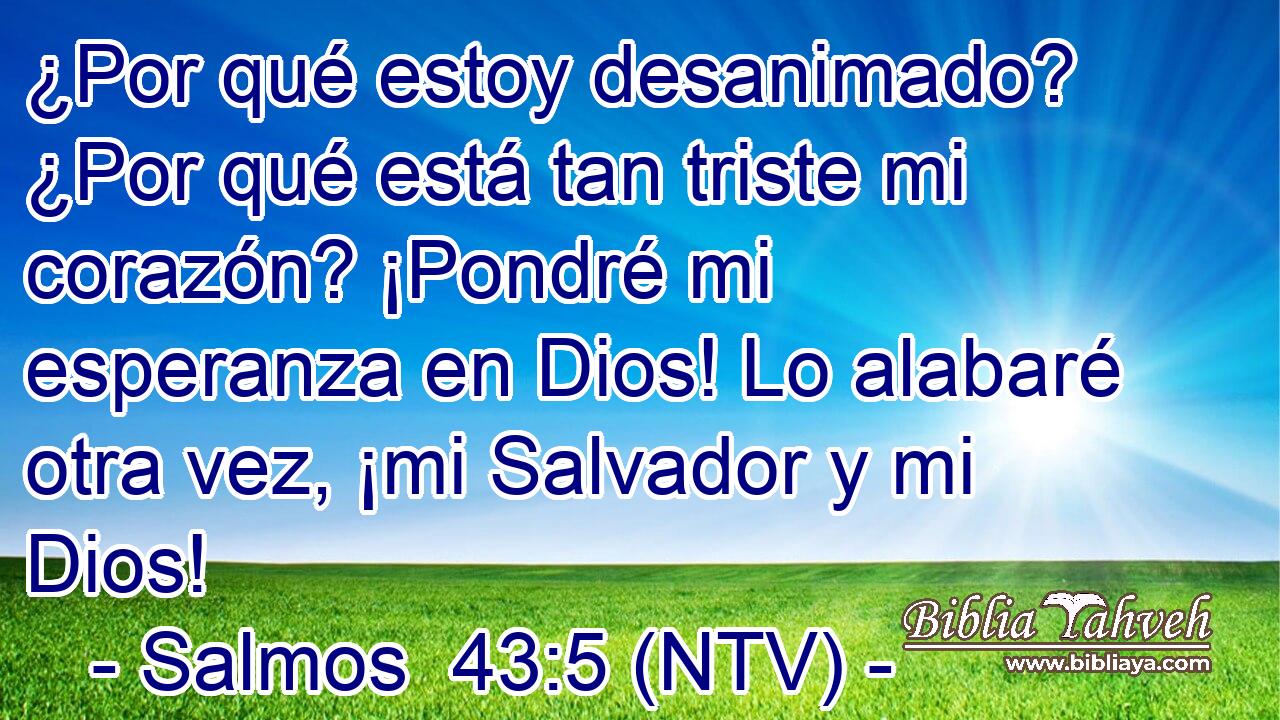 ¿Por qué estoy desanimado? ¿Por qué está tan triste mi corazón? ¡Pondré mi esperanza en Dios! Lo alabaré otra vez, ¡mi Salvador y mi Dios!