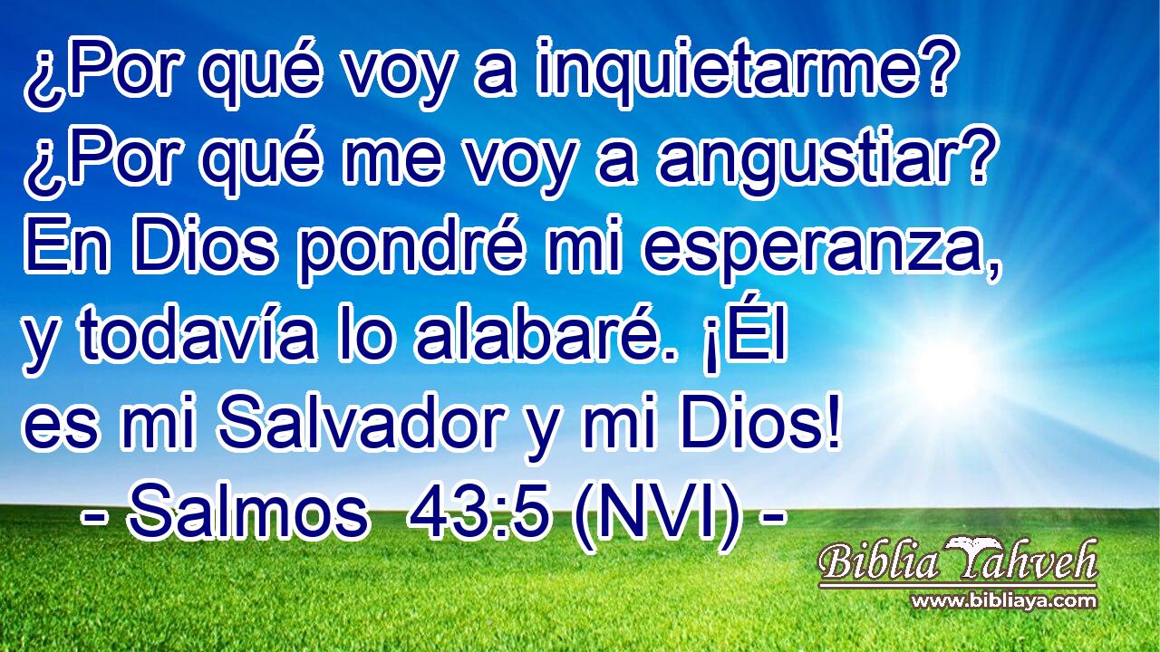  ¿Por qué voy a inquietarme? ¿Por qué me voy a angustiar? En Dios pondré mi esperanza, y todavía lo alabaré. ¡Él es mi Salvador y mi Dios! 