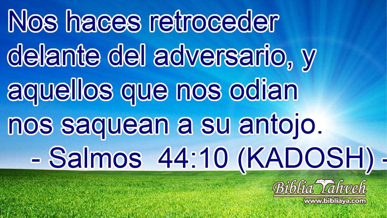  Nos haces retroceder delante del adversario, y aquellos que nos odian nos saquean a su antojo. 