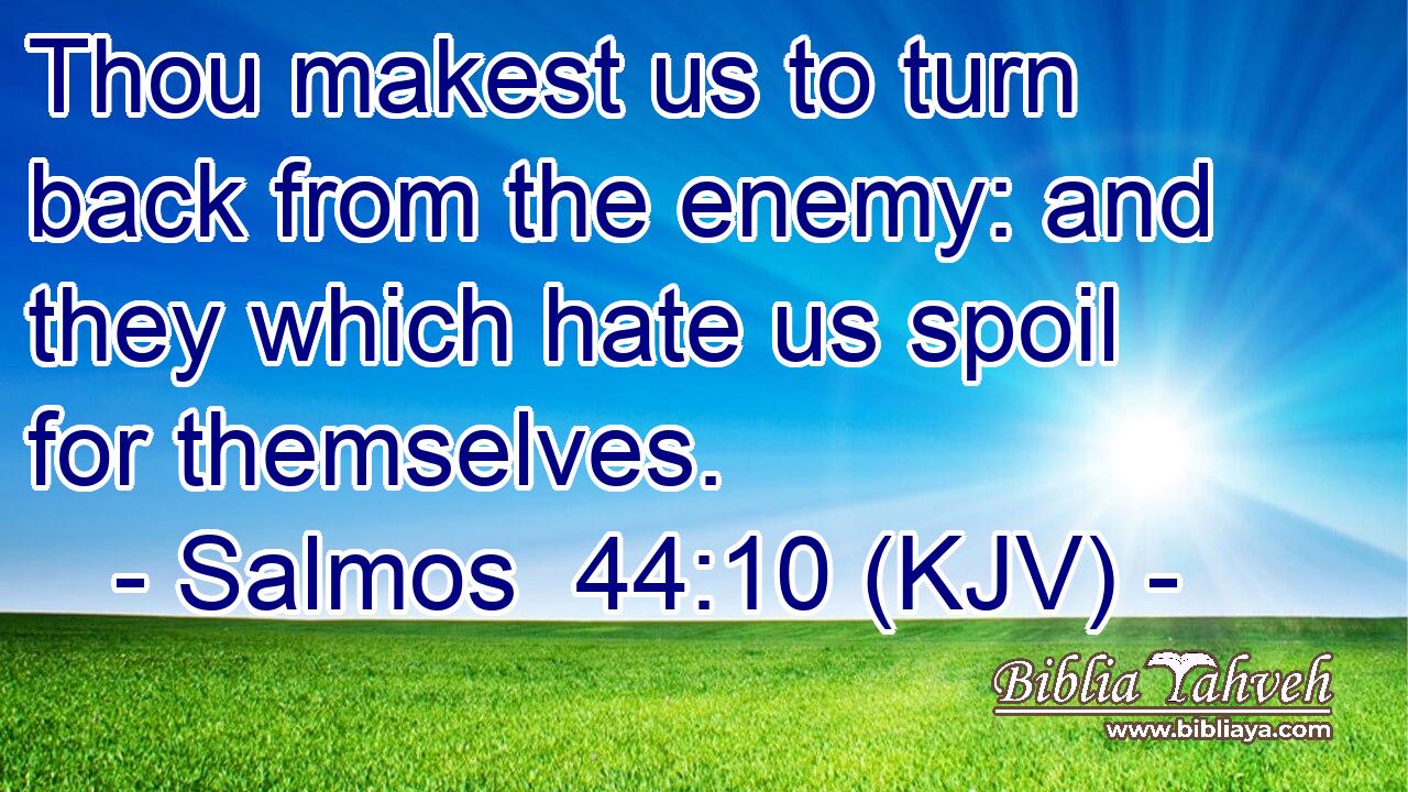 Thou makest us to turn back from the enemy: and they which hate us spoil for themselves.