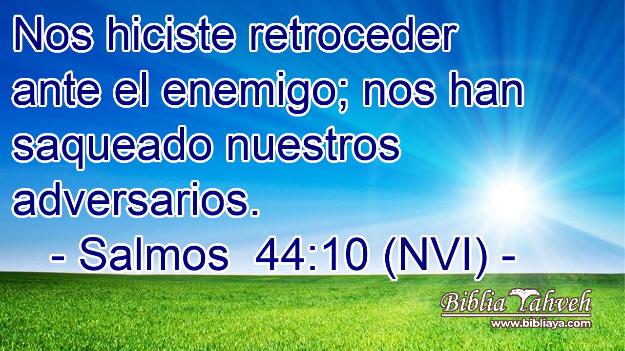  Nos hiciste retroceder ante el enemigo; nos han saqueado nuestros adversarios. 