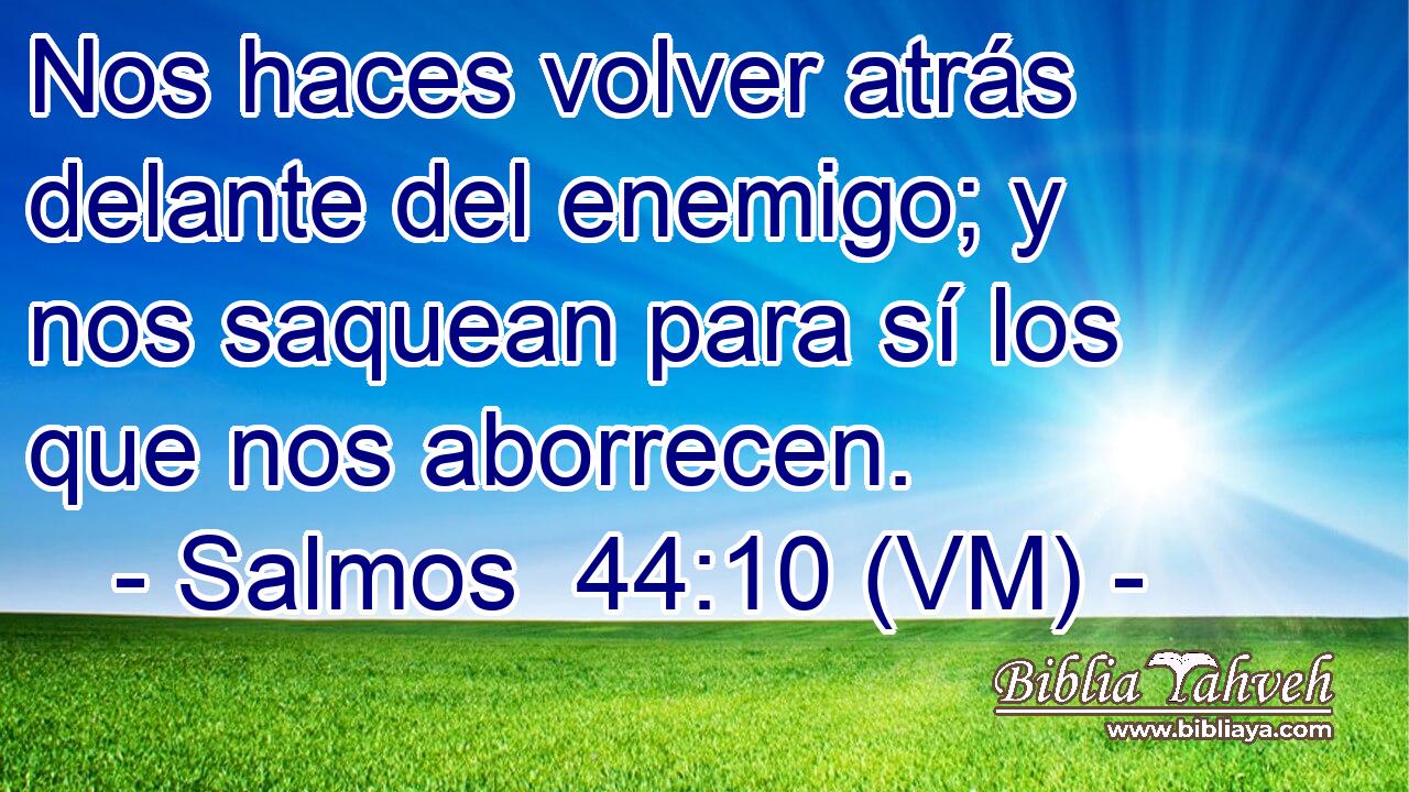  Nos haces volver atrás delante del enemigo; y nos saquean para sí los que nos aborrecen. 