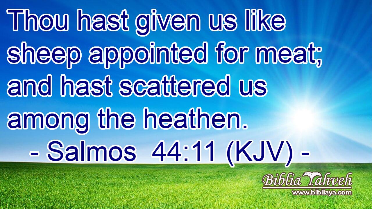 Thou hast given us like sheep appointed for meat; and hast scattered us among the heathen.