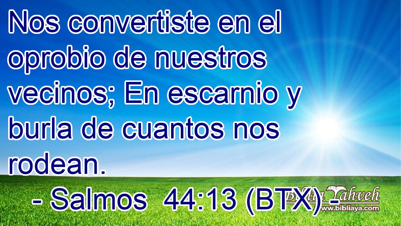 Nos convertiste en el oprobio de nuestros vecinos; En escarnio y burla de cuantos nos rodean.