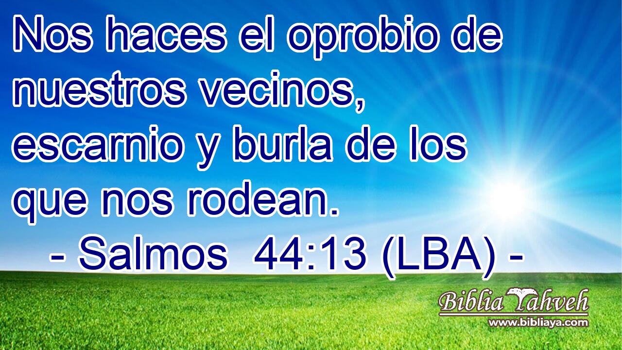 Nos haces el oprobio de nuestros vecinos, escarnio y burla de los que nos rodean.