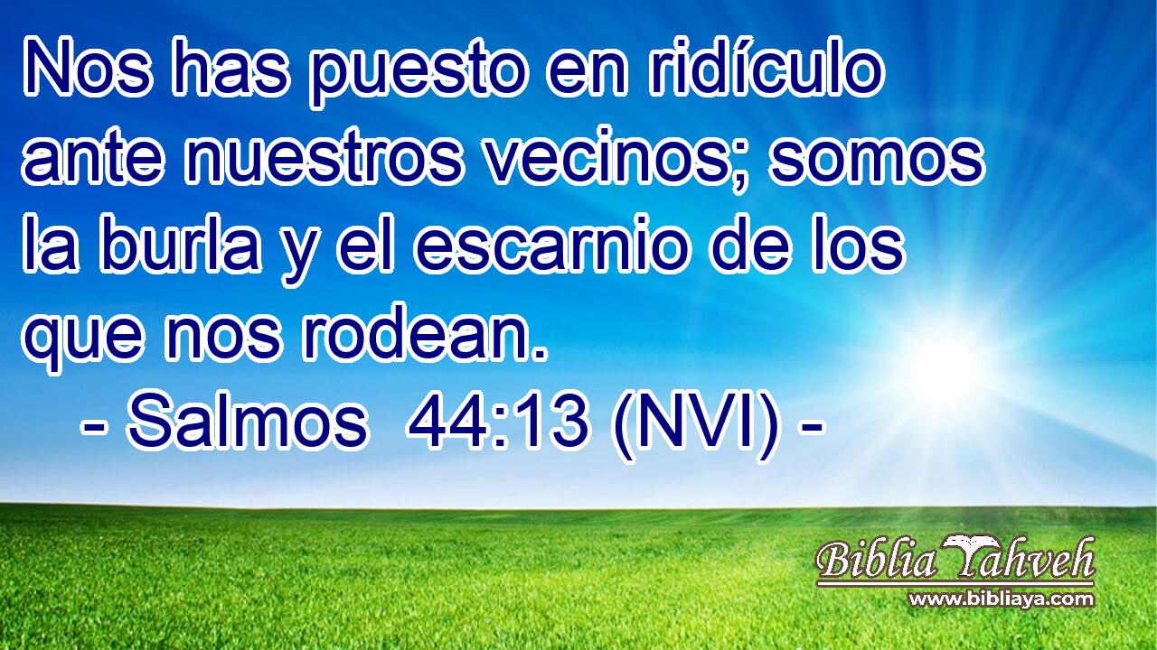  Nos has puesto en ridículo ante nuestros vecinos; somos la burla y el escarnio de los que nos rodean. 