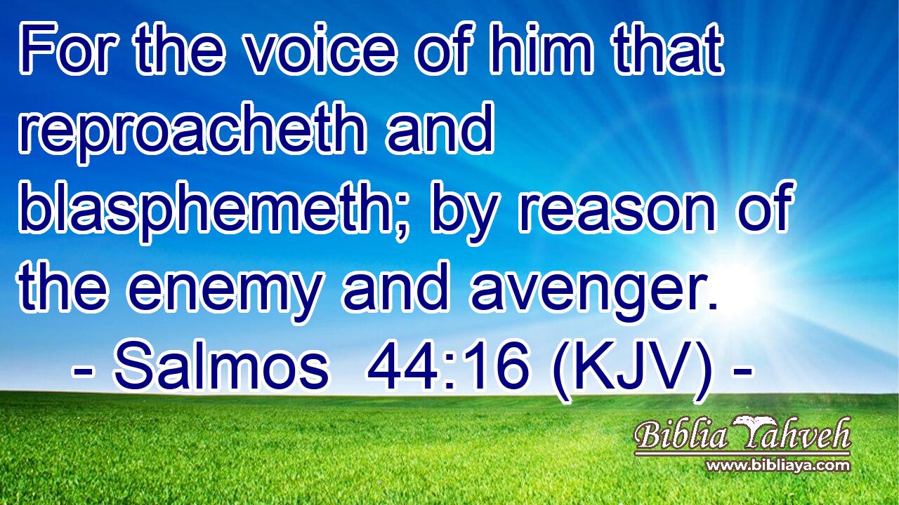 For the voice of him that reproacheth and blasphemeth; by reason of the enemy and avenger.